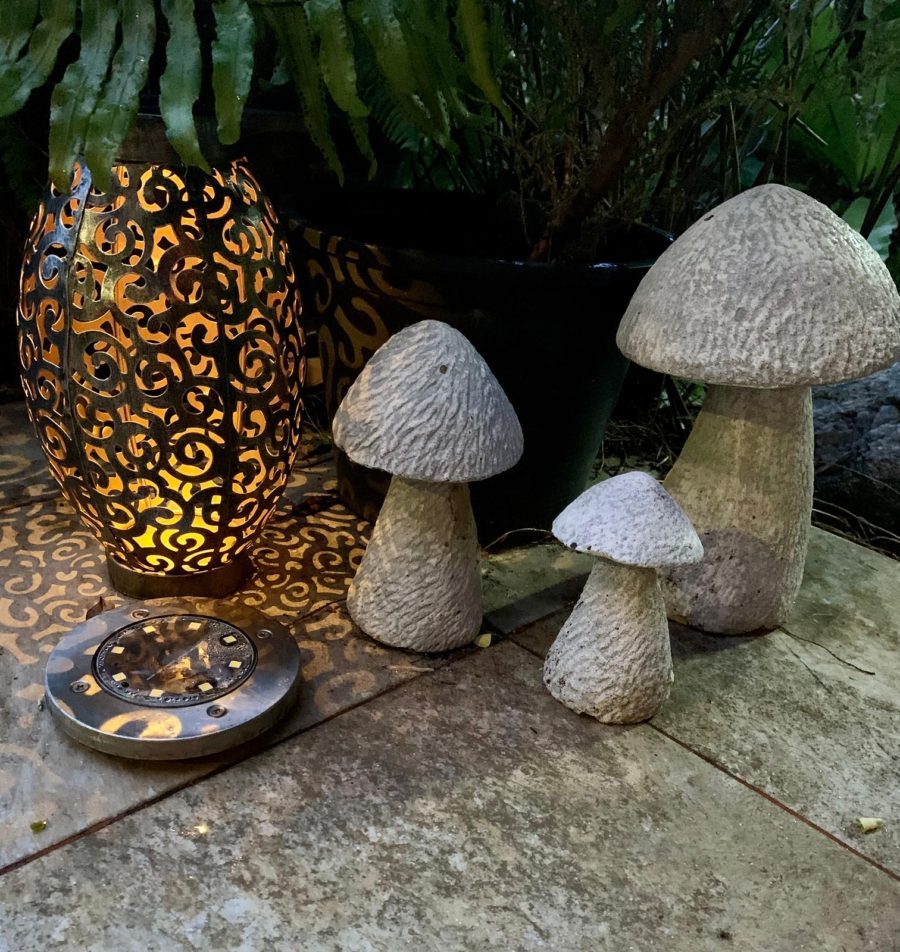 Toadstools