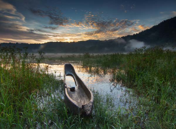 Marsh Land