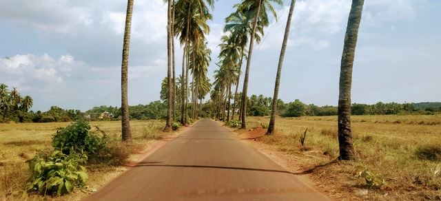 typical road in Goa