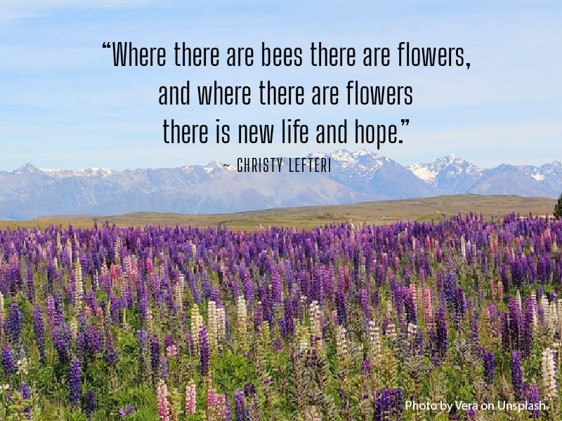 Quote by Christy Lefteri about bees