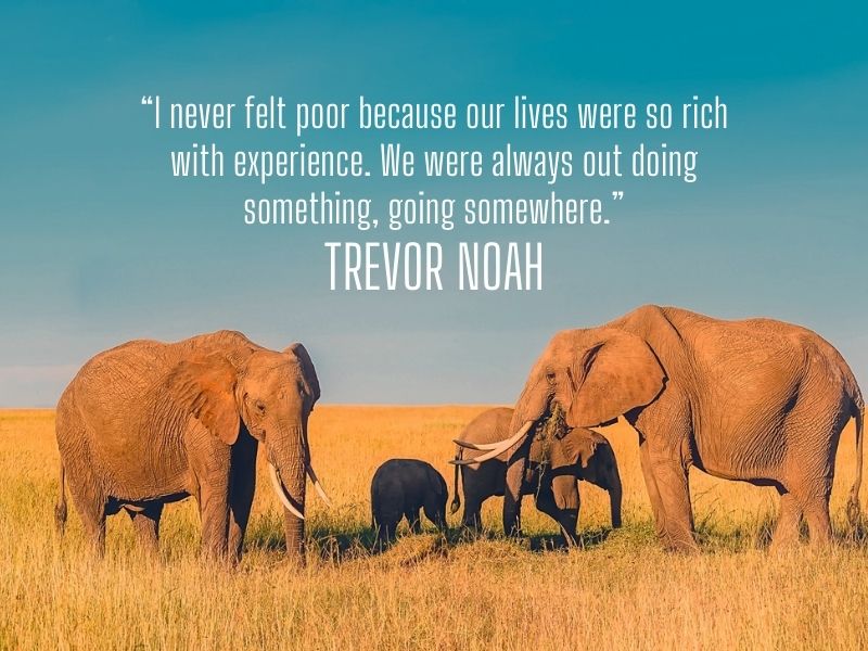 Trevor Noah Quote 1