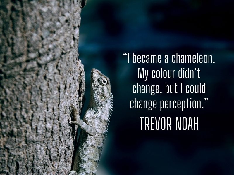Trevor Noah Quote 2
